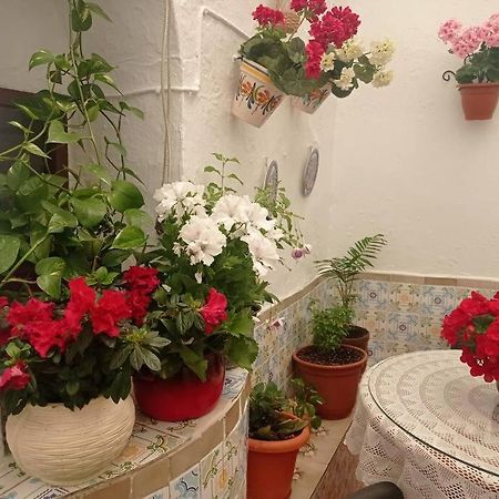 Casa Tipica De Pueblo Andaluz Villa Villanueva de San Juan Bagian luar foto