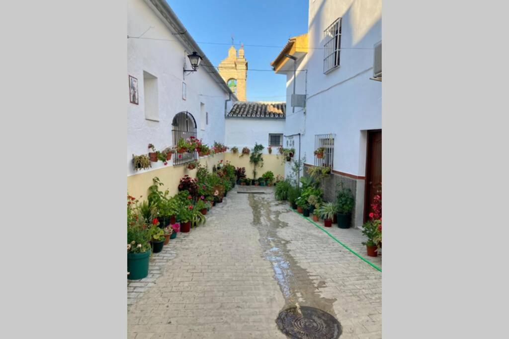 Casa Tipica De Pueblo Andaluz Villa Villanueva de San Juan Bagian luar foto