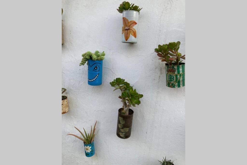 Casa Tipica De Pueblo Andaluz Villa Villanueva de San Juan Bagian luar foto