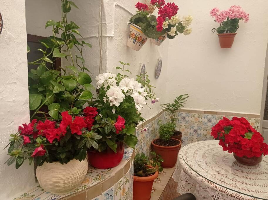 Casa Tipica De Pueblo Andaluz Villa Villanueva de San Juan Bagian luar foto